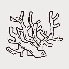Coral doodle N3