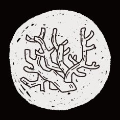 Coral doodle N5