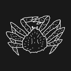 Crab doodle N22