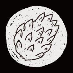 Custard apple doodle N7