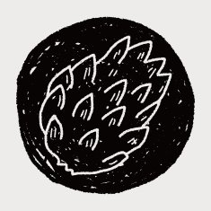 Custard apple doodle N9