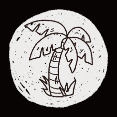 doodle coconut tree N5