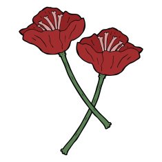 Cartoon Flowers N24