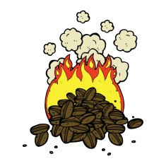 roasting coffee beans cartoon N4