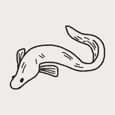 Eel doodle N3