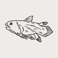 fish dinosaur doodle N9