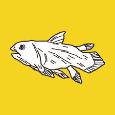 fish dinosaur doodle N21
