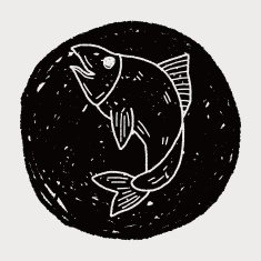 fish doodle N11