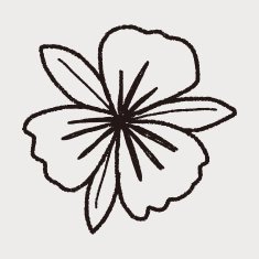 Flower doodle N135