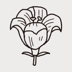 Flower doodle N140