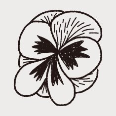 Flower doodle N142
