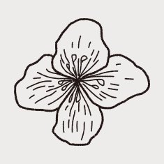 Flower doodle N143
