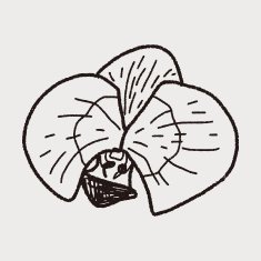 Flower doodle N144