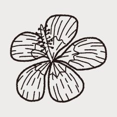 Flower doodle N147