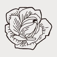 Flower doodle N149