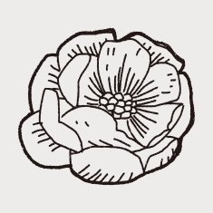 Flower doodle N150