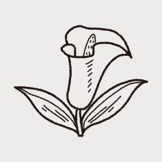 Flower doodle N153
