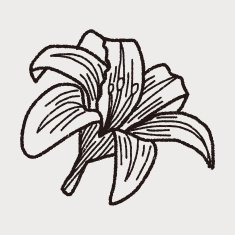 Flower doodle N155