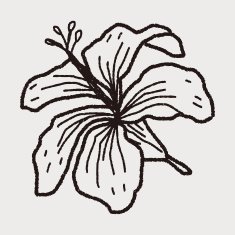 Flower doodle N156