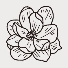 Flower doodle N157