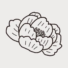 Flower doodle N158