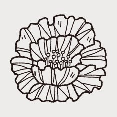 Flower doodle N159