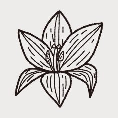 Flower doodle N162