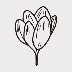 Flower doodle N163
