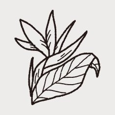 Flower doodle N164