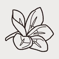 Flower doodle N166