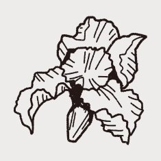 Flower doodle N176