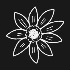 Flower doodle N184
