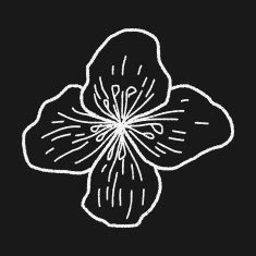 Flower doodle N193