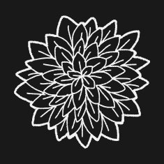 Flower doodle N202