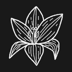 Flower doodle N212