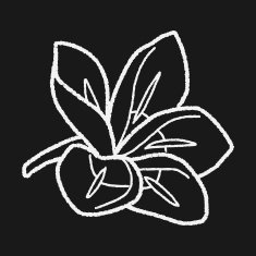 Flower doodle N216