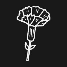 Flower doodle N228