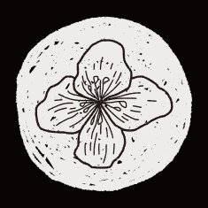 Flower doodle N243