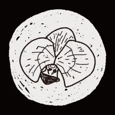 Flower doodle N244