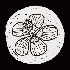 Flower doodle N247