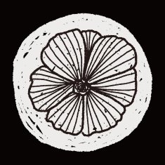 Flower doodle N248