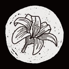 Flower doodle N255