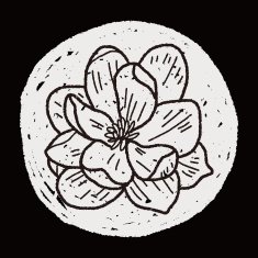 Flower doodle N257