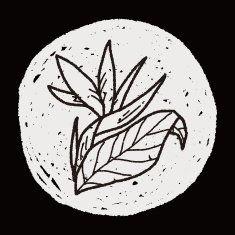 Flower doodle N264