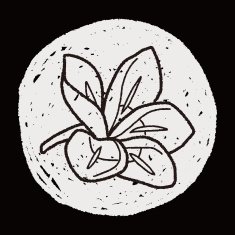 Flower doodle N266