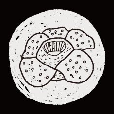 Flower doodle N269