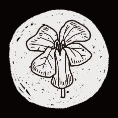 Flower doodle N274
