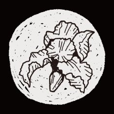 Flower doodle N276