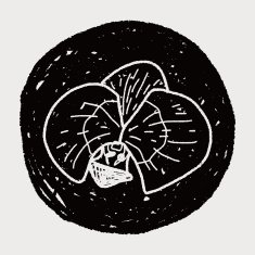 Flower doodle N294