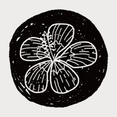 Flower doodle N297